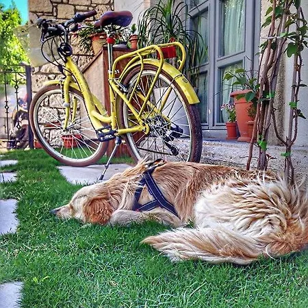 330 Boutique (adults Only)