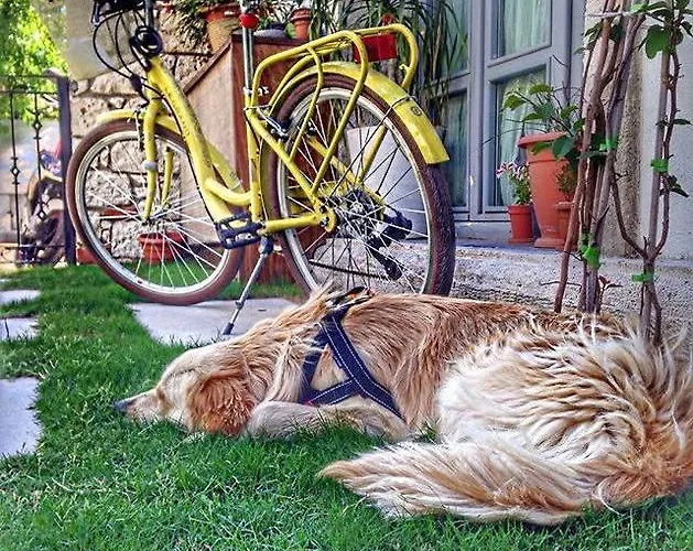 330 Boutique (adults Only)